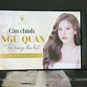 tranh điện treo tường